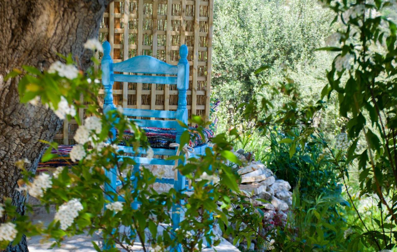 The Olive Cottage - Ithaca Vathy  Buitenkant foto
