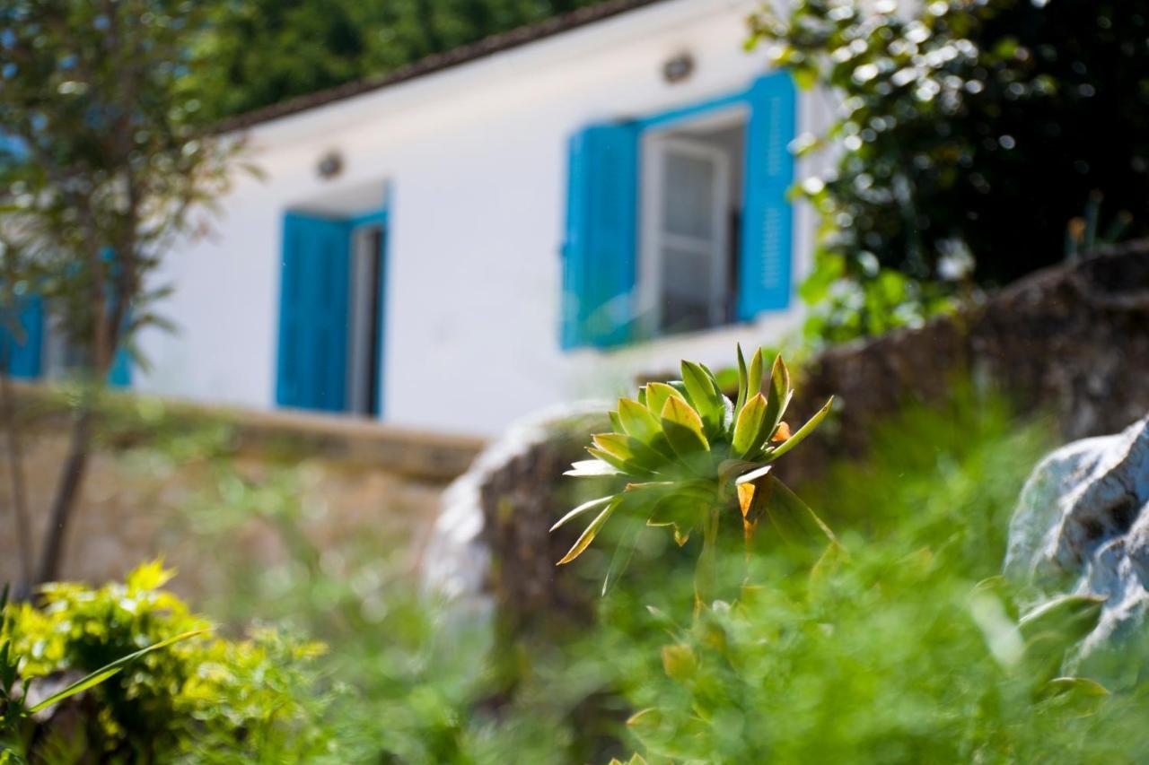 The Olive Cottage - Ithaca Vathy  Buitenkant foto